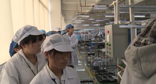 90后電子廠打工真實(shí)記錄 只有像機(jī)器人一樣活著才不會累