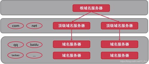 計(jì)算機(jī)網(wǎng)絡(luò)信息管理與服務(wù) 構(gòu)筑數(shù)字時(shí)代的神經(jīng)系統(tǒng)